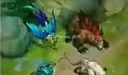 主宰最新爆料视频大全